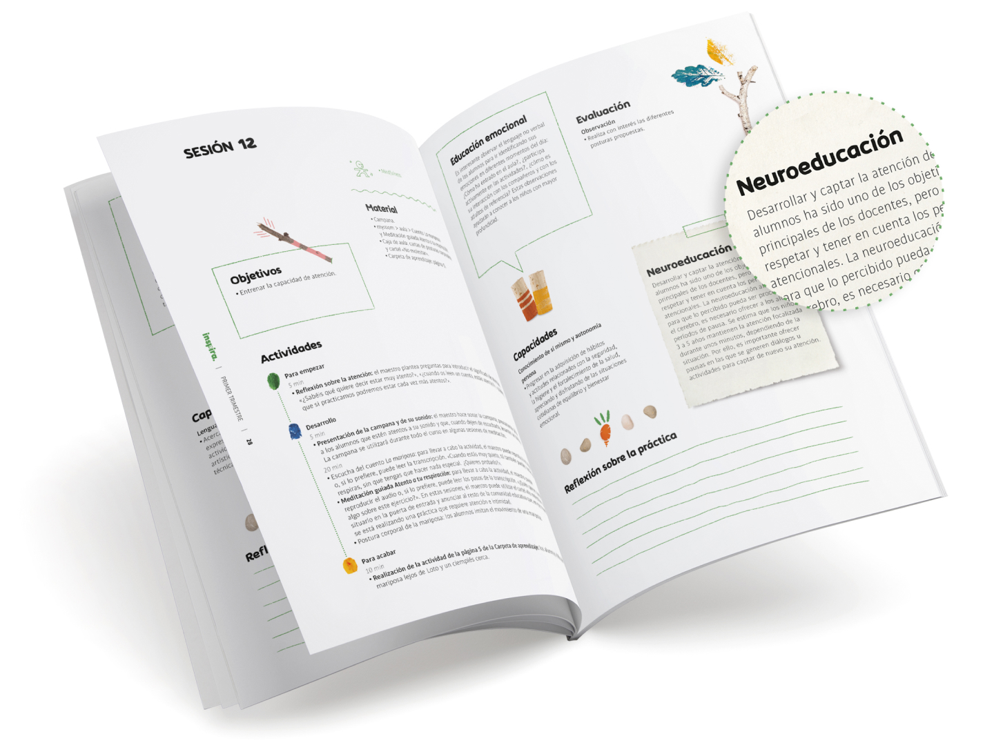 neuroeducación