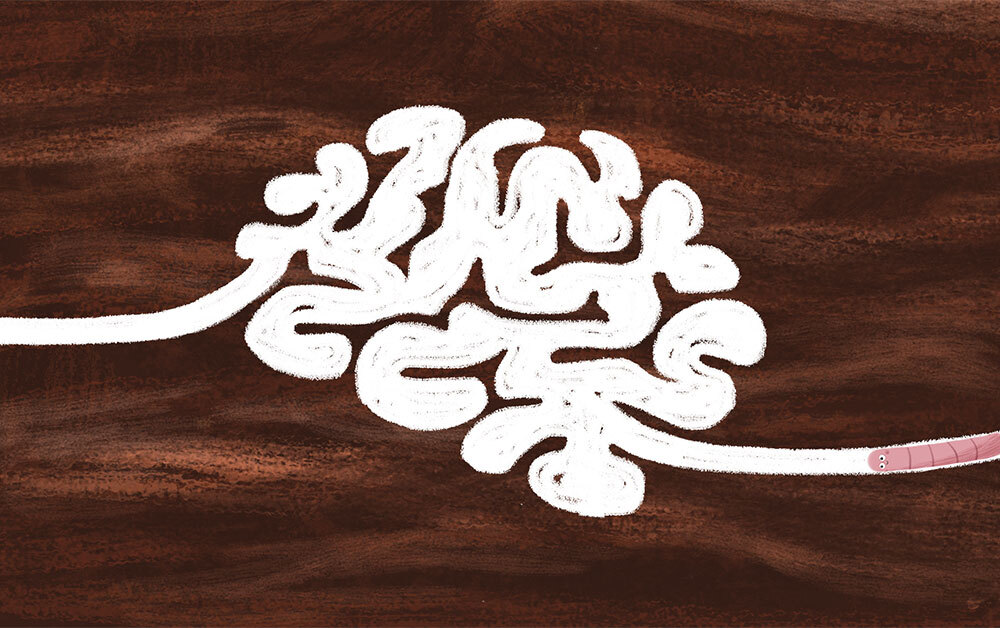 3 funcions executives principals i com entrenar-les a l'aula 1 Funciones ejecutivas