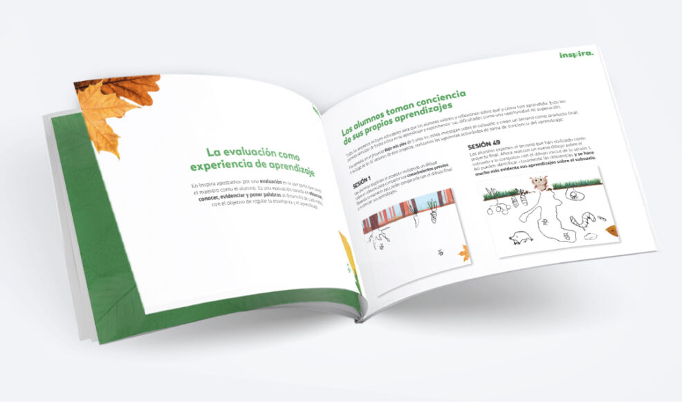 Guia inspira Como se evalua Inspira