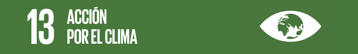 ODS13