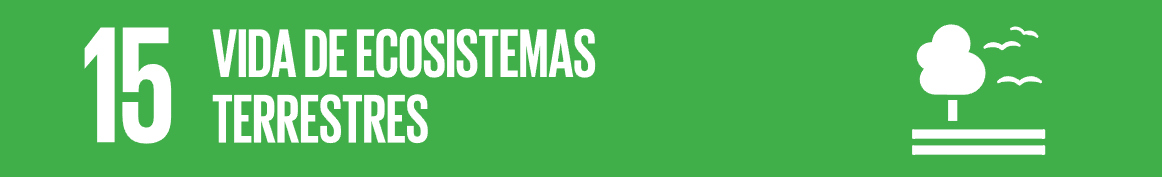 ODS15