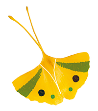 7 blogs educativos seguir este verano 2 butterfly