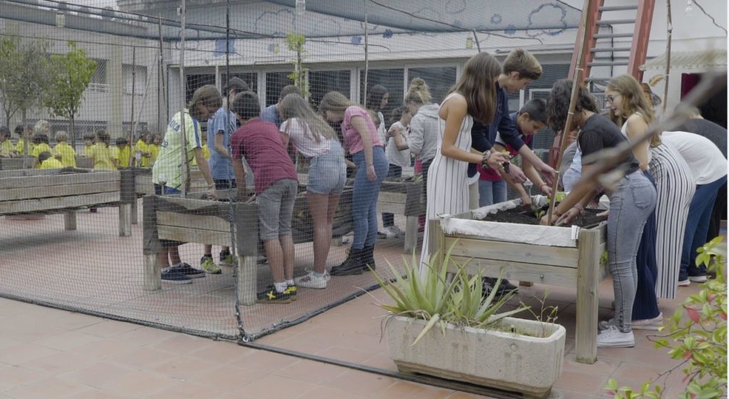 El huerto escolar, un proyecto transversal de infantil a secundaria 1 huerto 1 1024x560 1