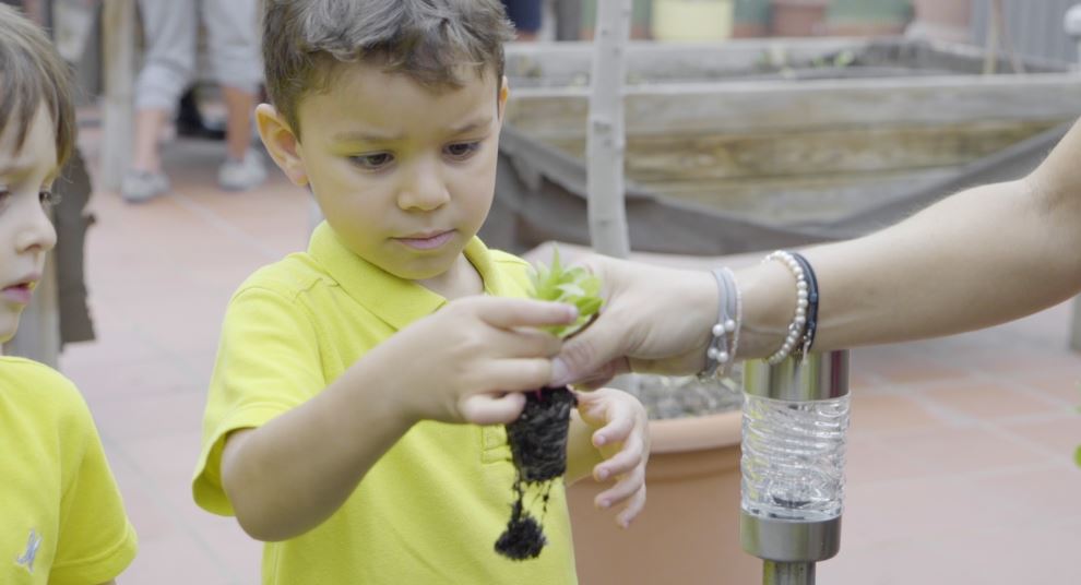 El huerto escolar, un proyecto transversal de infantil a secundaria 3 huerto 3